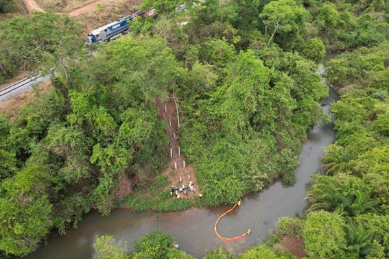 Trem passando por mata densa com rio meandrando e pessoas em clareia.