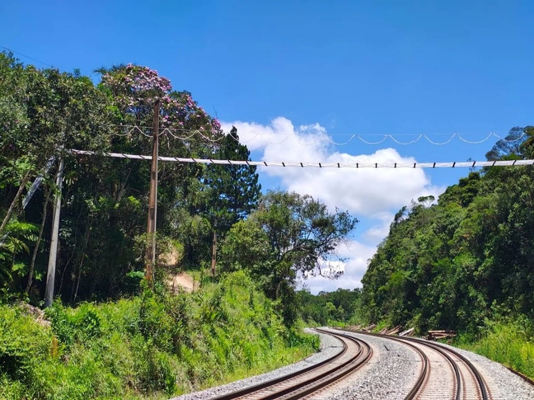Estrutura aérea de cordas para travessia de animais silvestres. 
