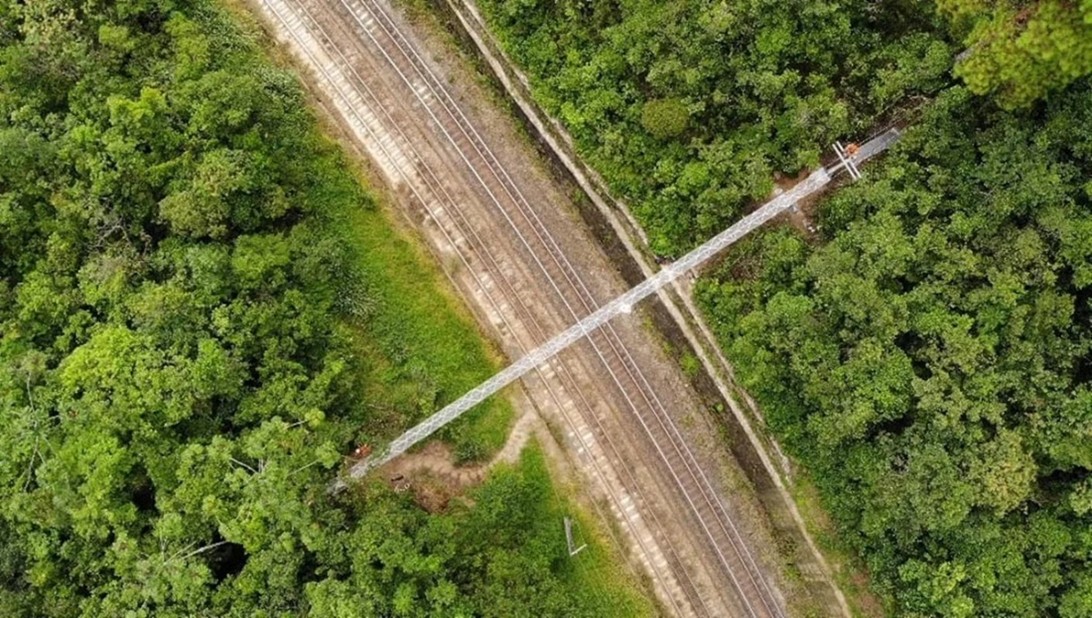 Estrutura aérea de cordas para travessia de animais silvestres. 