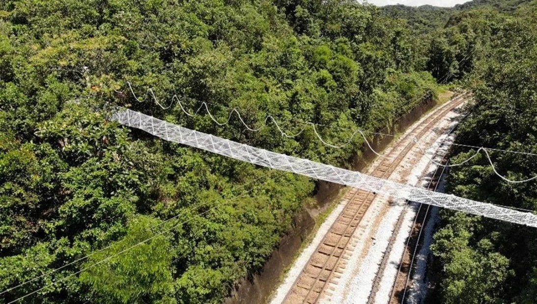 Estrutura aérea de cordas para travessia de animais silvestres. 